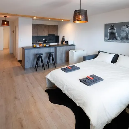 Magnifique Proche Du Centre Et Du شقة كرانز مونتانا