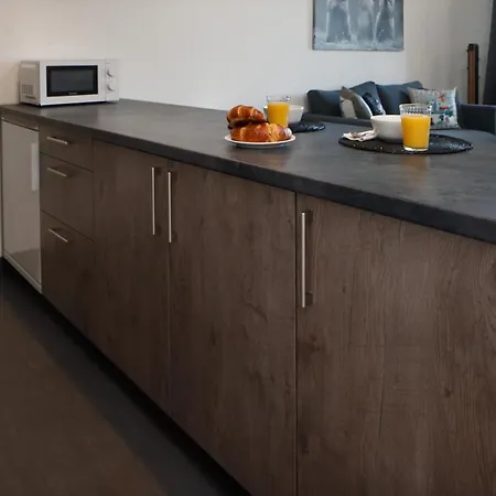 Magnifique Proche Du Centre Et Du كرانز مونتانا